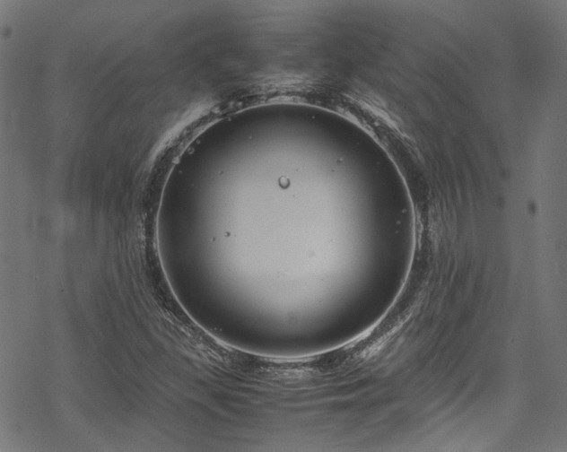 X0000070191309200605261147