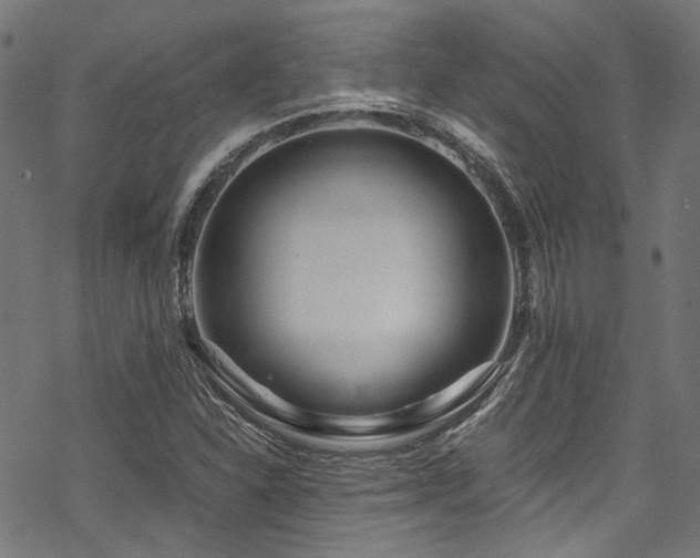 X0000070191310200605261147