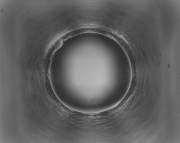 X0000070191311200605261147