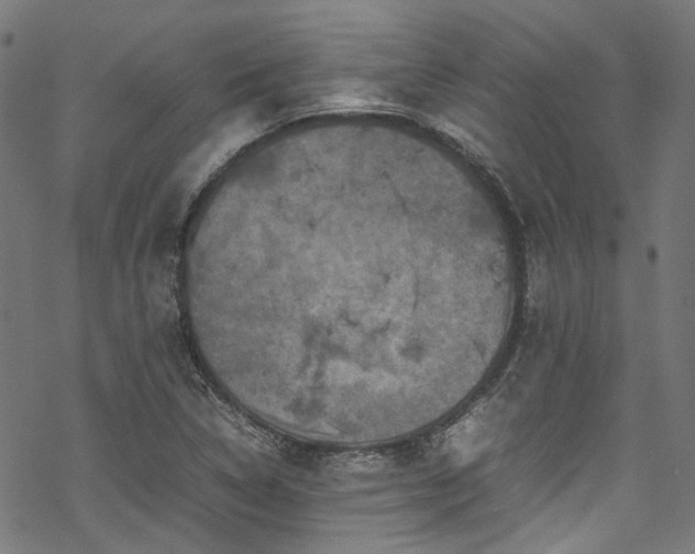 X0000070191314200605261148