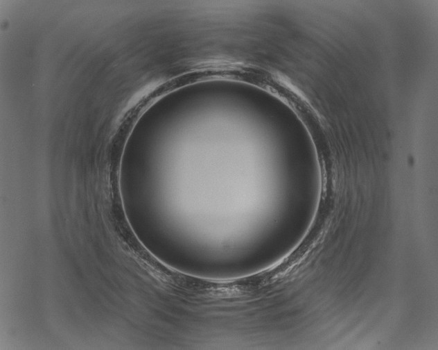 X0000070191315200605261148