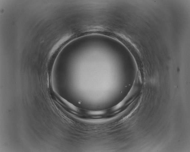 X0000070191317200605261148