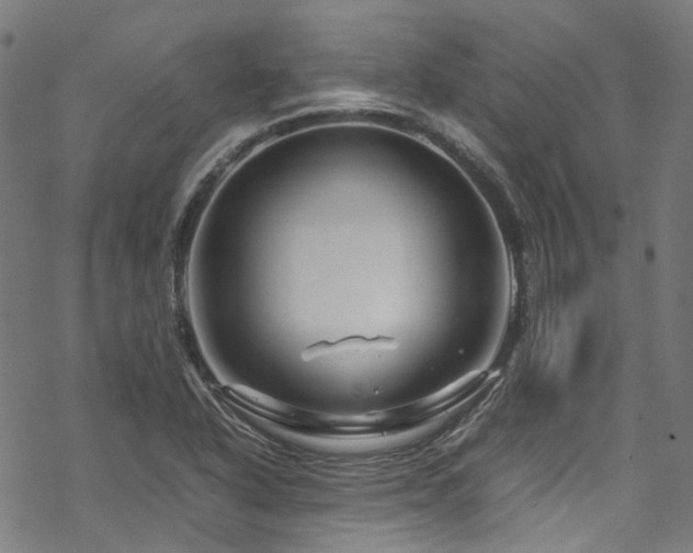 X0000070191318200605261148