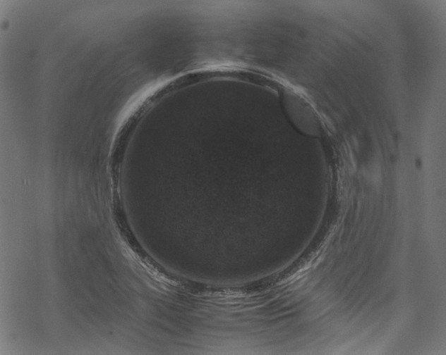 X0000070191319200605261148