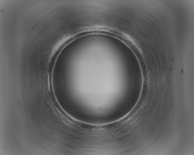 X0000070191320200605261148