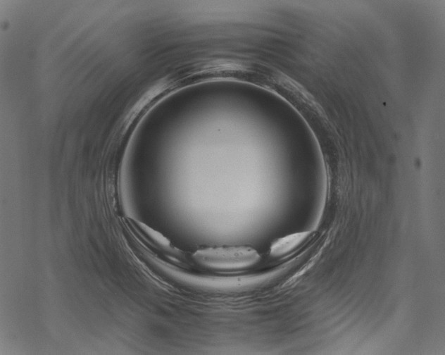 X0000070191321200605261148