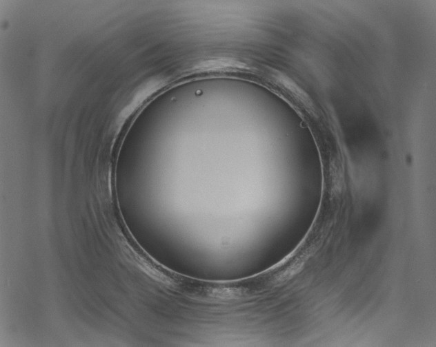 X0000070191322200605261148