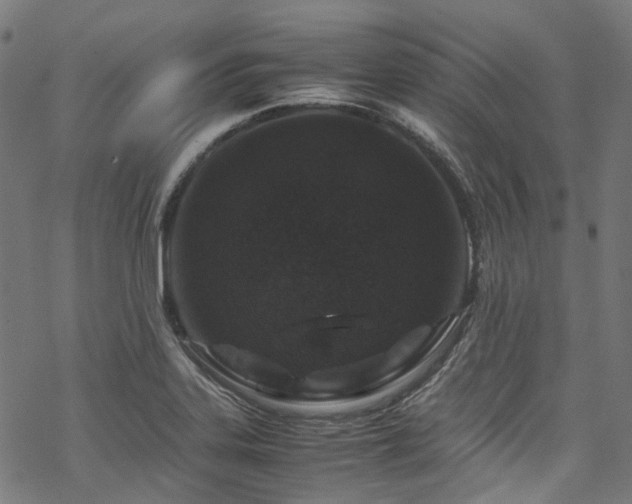 X0000070191323200605261148