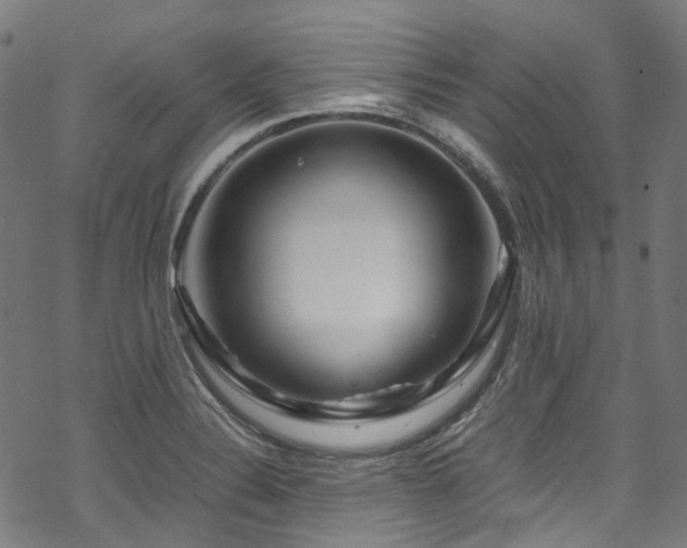 X0000070191324200605261148