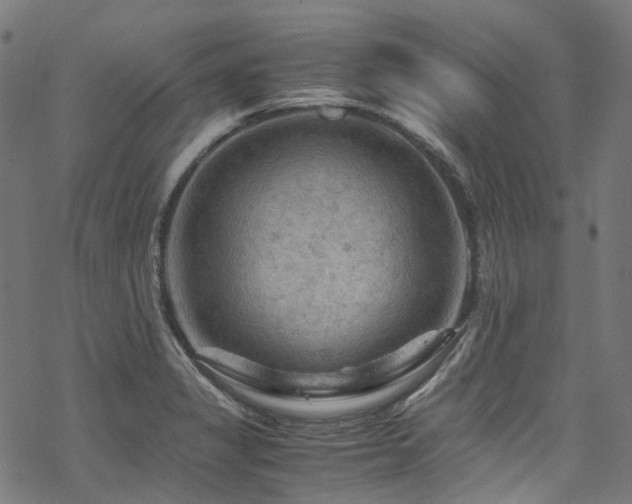 X0000070191325200605261148