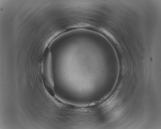 X0000070191329200605261148