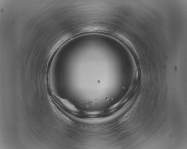 X0000070191330200605261148