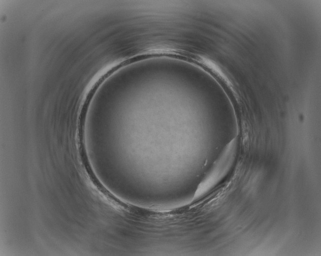 X0000070191331200605261148