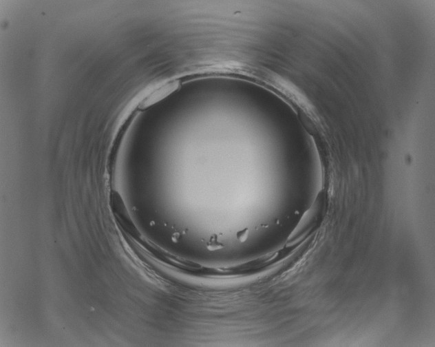 X0000070191332200605261148