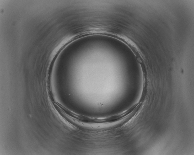 X0000070191333200605261148