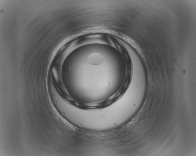 X0000070191334200605261148