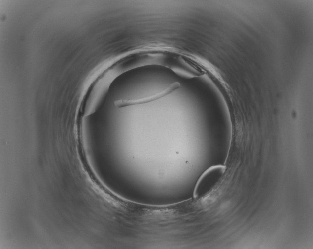 X0000070191335200605261148