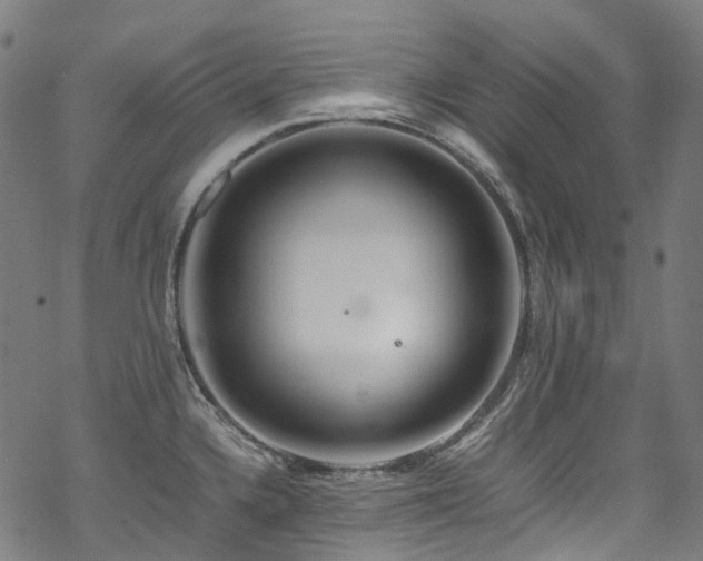 X0000070191336200605261148