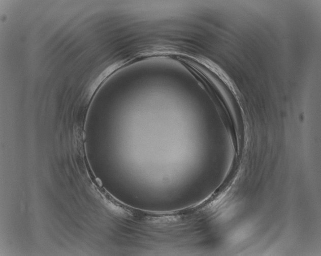 X0000070191337200605261148