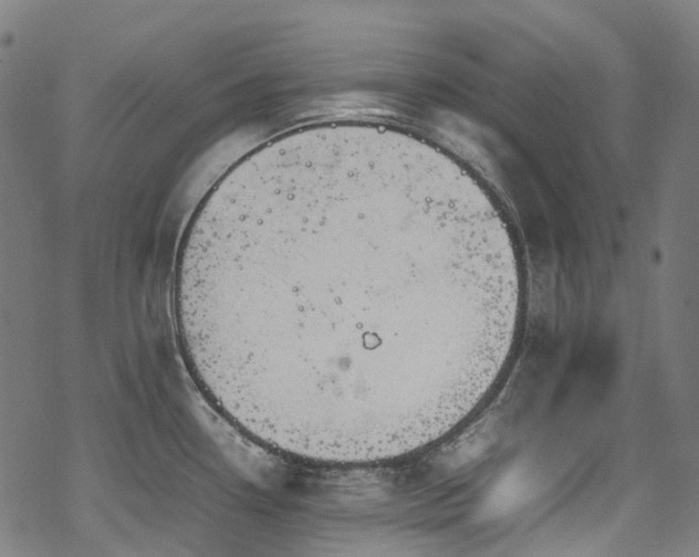 X0000070191338200605261148