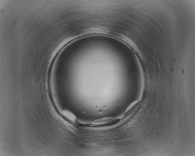 X0000070191339200605261148