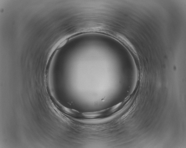 X0000070191340200605261148