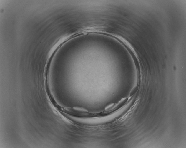 X0000070191341200605261148