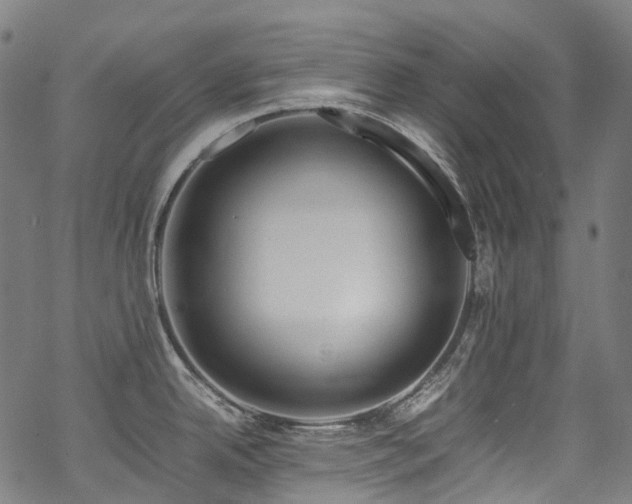 X0000070191342200605261148