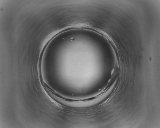 X0000070191343200605261148