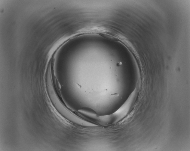 X0000070191344200605261148