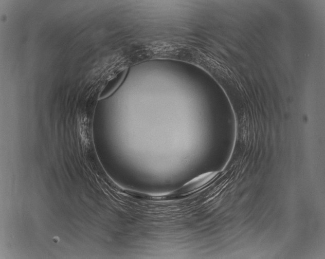 X0000070191346200605261147