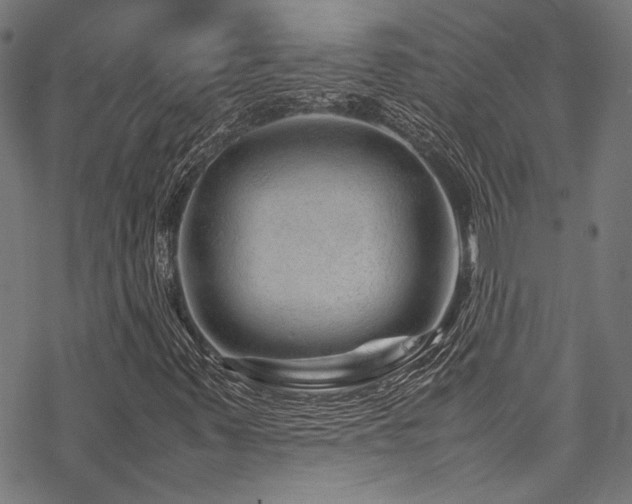 X0000070191347200605261147
