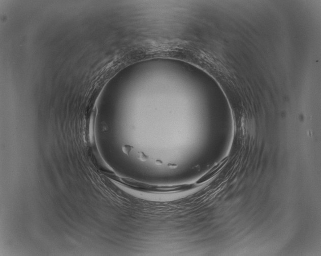 X0000070191348200605261147