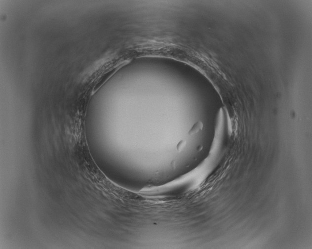 X0000070191350200605261147