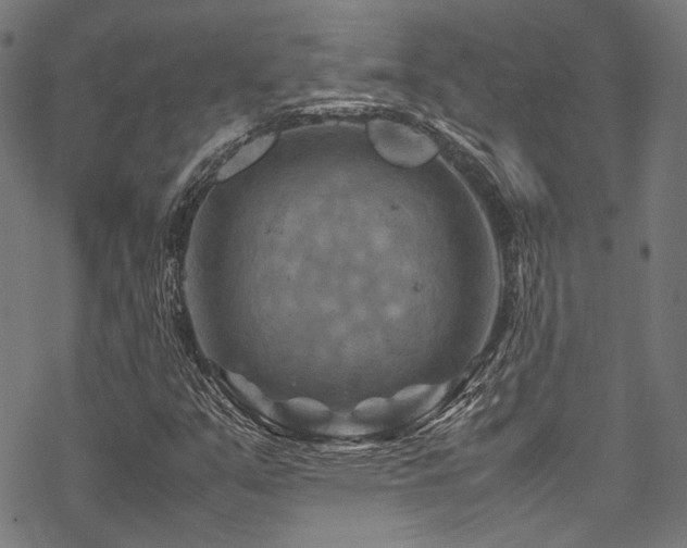 X0000070191351200605261147