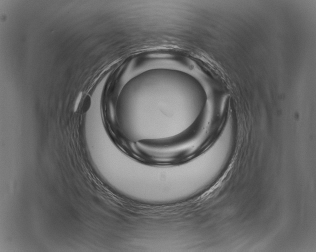 X0000070191353200605261147