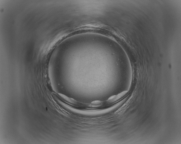 X0000070191355200605261147