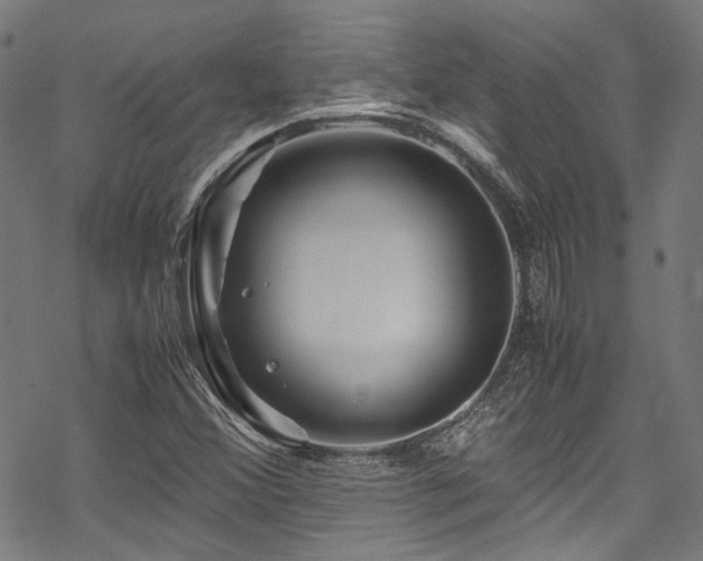 X0000070191356200605261147