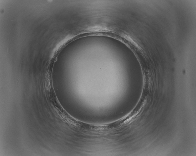 X0000070191358200605261147