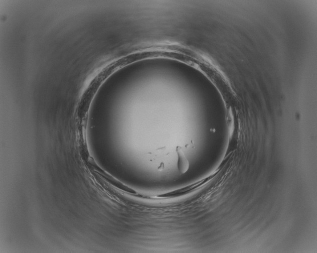 X0000070191360200605261147