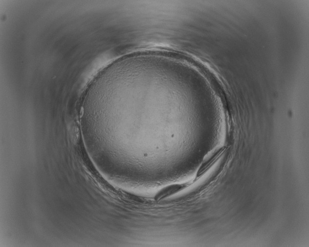 X0000070191363200605261147