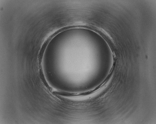 X0000070191364200605261147