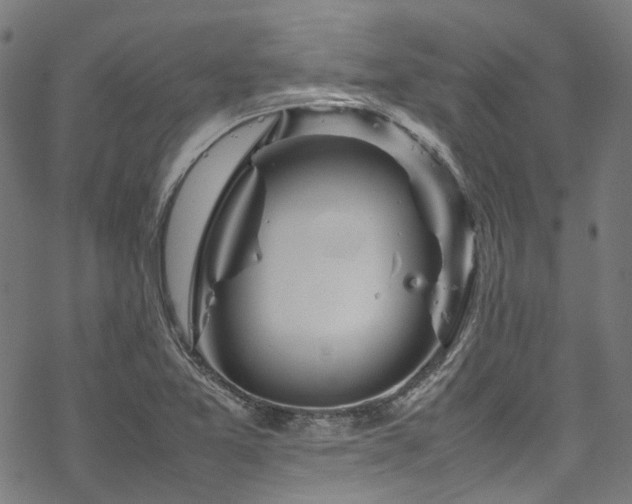 X0000070191365200605261147