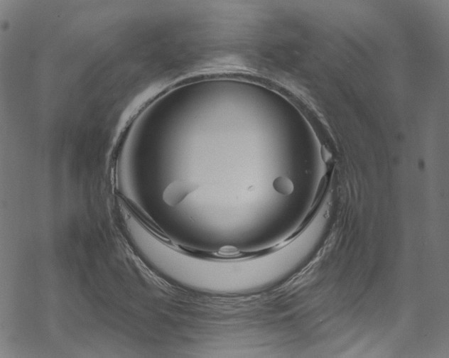 X0000070191366200605261147