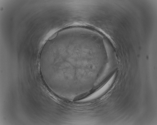 X0000070191367200605261147