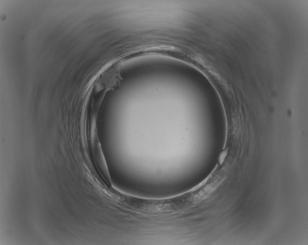 X0000070191369200605261147