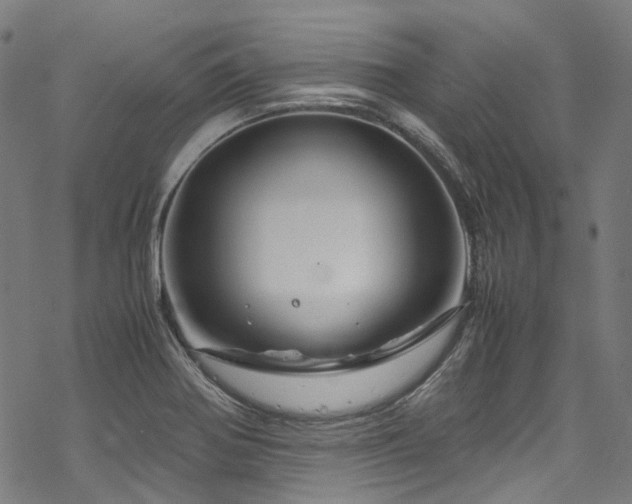 X0000070191370200605261147