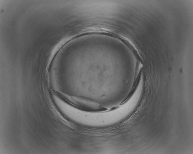 X0000070191371200605261147