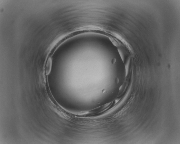 X0000070191372200605261147