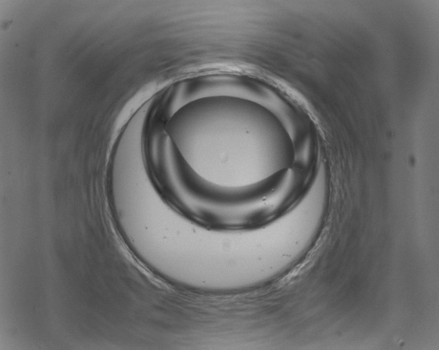 X0000070191373200605261147